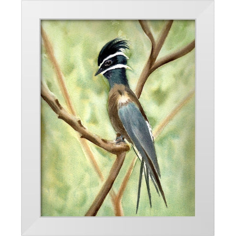 Bird on Branch White Modern Wood Framed Art Print by Shefranov, Olga