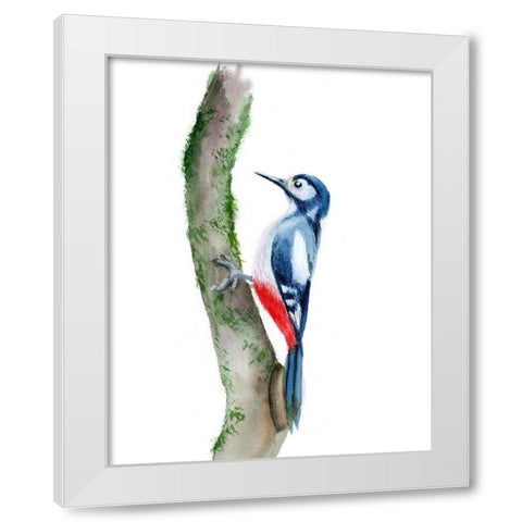 Woodpecker White Modern Wood Framed Art Print by Shefranov, Olga