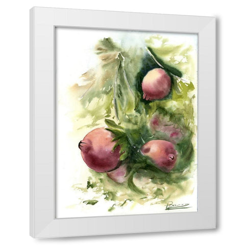 Pomegranate White Modern Wood Framed Art Print by Shefranov, Olga