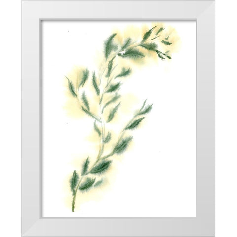 Vine III White Modern Wood Framed Art Print by Shefranov, Olga