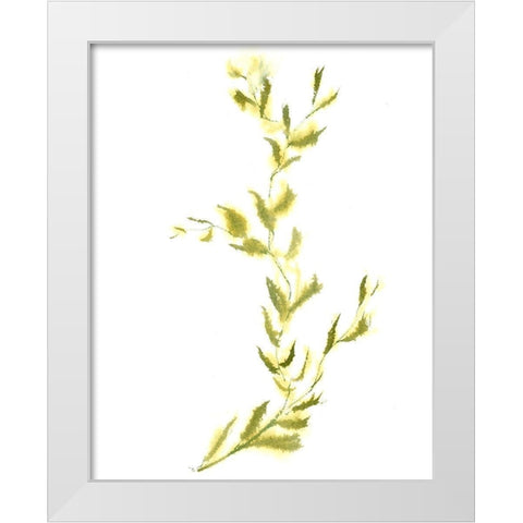Vine IV White Modern Wood Framed Art Print by Shefranov, Olga