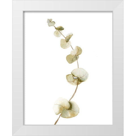 Botanical II White Modern Wood Framed Art Print by Shefranov, Olga