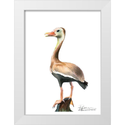 Duck White Modern Wood Framed Art Print by Shefranov, Olga