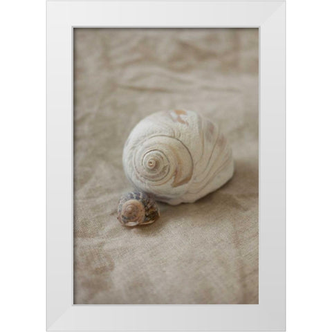 Shells I White Modern Wood Framed Art Print by P.S. Art Studios
