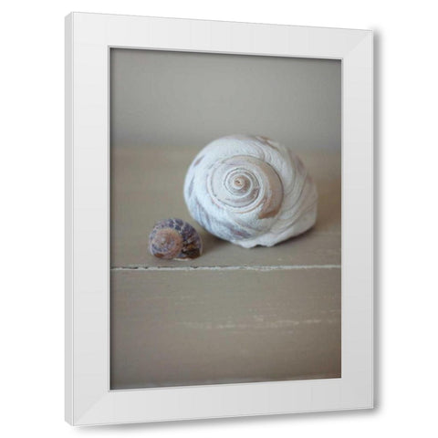 Shells on Beige I White Modern Wood Framed Art Print by P.S. Art Studios