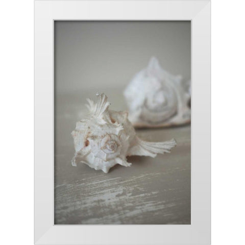 Shell Duo White Modern Wood Framed Art Print by P.S. Art Studios