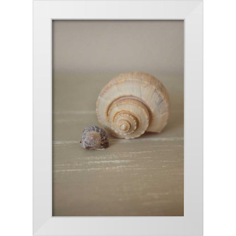 Shells on Beige III White Modern Wood Framed Art Print by P.S. Art Studios