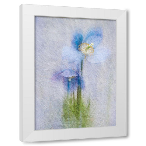 Violet Flowers White Modern Wood Framed Art Print by P.S. Art