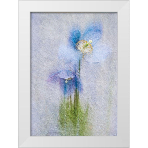 Violet Flowers White Modern Wood Framed Art Print by P.S. Art