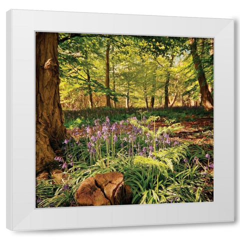 Forest White Modern Wood Framed Art Print by P.S. Art