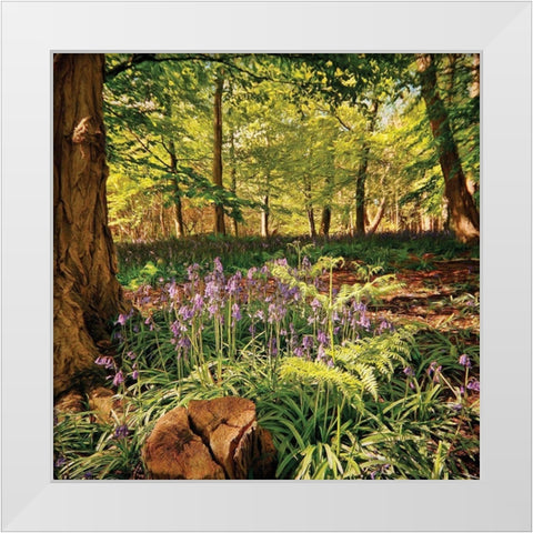 Forest White Modern Wood Framed Art Print by P.S. Art