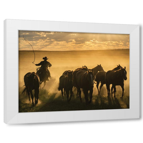 Coming Around White Modern Wood Framed Art Print by PBurchettPhoto