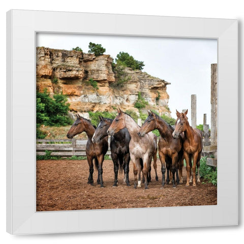 The Right Direction White Modern Wood Framed Art Print by PBurchettPhoto