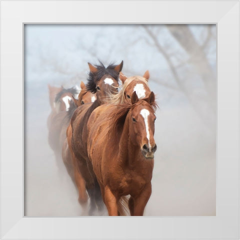 Follow the Leader White Modern Wood Framed Art Print by PBurchettPhoto