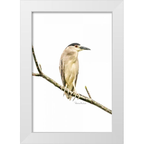 Amazon Heron White Modern Wood Framed Art Print by Murdock, Ramona