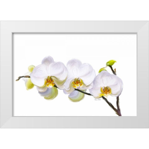 White Orchids White Modern Wood Framed Art Print by Murdock, Ramona