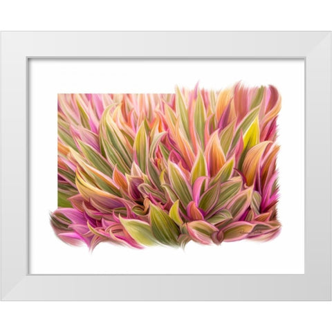 Snake Plant White Modern Wood Framed Art Print by Murdock, Ramona