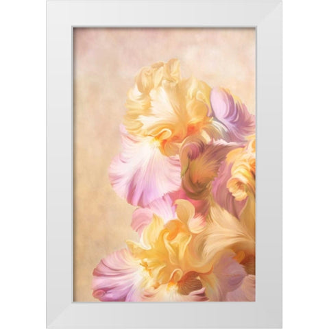 Lovely Iris White Modern Wood Framed Art Print by Murdock, Ramona