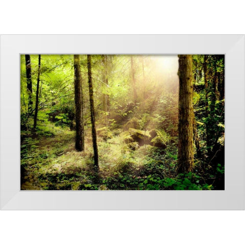 Sunshine from Above White Modern Wood Framed Art Print by Murdock, Ramona