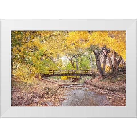 Teasdale Bridge White Modern Wood Framed Art Print by Murdock, Ramona