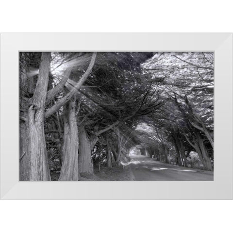 Spooky White Modern Wood Framed Art Print by Murdock, Ramona