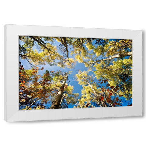 Look Up White Modern Wood Framed Art Print by Murdock, Ramona