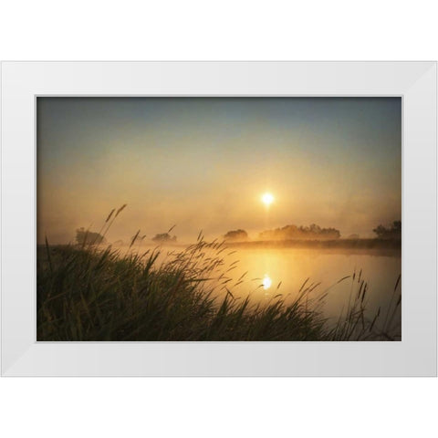 Misty Morning White Modern Wood Framed Art Print by Murdock, Ramona
