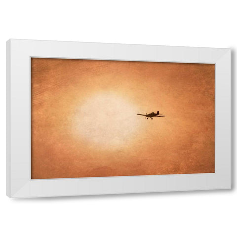 Early Morning Flight White Modern Wood Framed Art Print by Murdock, Ramona