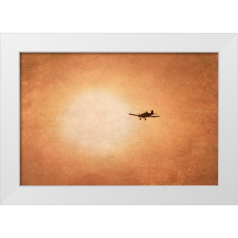 Early Morning Flight White Modern Wood Framed Art Print by Murdock, Ramona