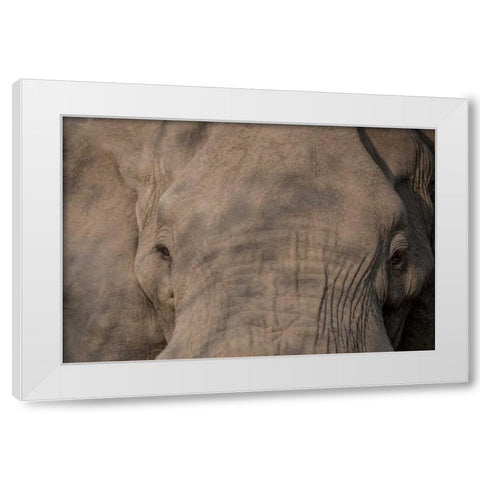 Nellie Phant White Modern Wood Framed Art Print by Murdock, Ramona