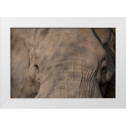 Nellie Phant White Modern Wood Framed Art Print by Murdock, Ramona