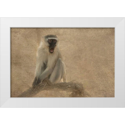 Primate White Modern Wood Framed Art Print by Murdock, Ramona