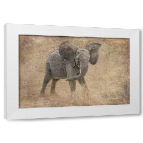 Young Buck White Modern Wood Framed Art Print by Murdock, Ramona