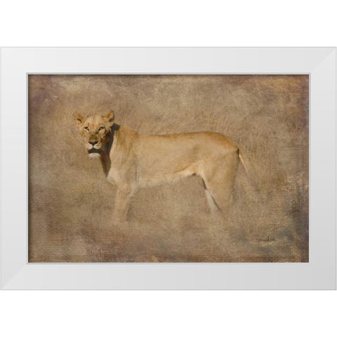 Queen White Modern Wood Framed Art Print by Murdock, Ramona