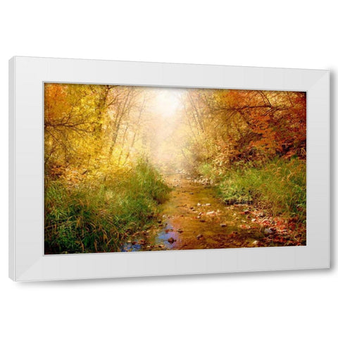 Stream of Light I White Modern Wood Framed Art Print by Murdock, Ramona