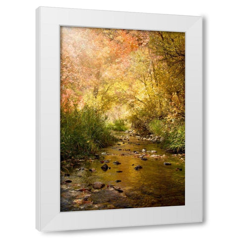 Streams of Light II White Modern Wood Framed Art Print by Murdock, Ramona