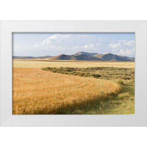 Harvest White Modern Wood Framed Art Print by Murdock, Ramona