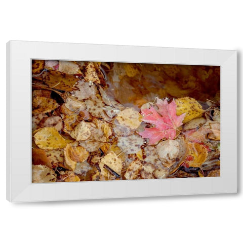 The Last Leaf White Modern Wood Framed Art Print by Murdock, Ramona