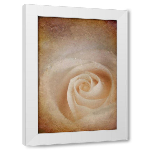 Faded Rose White Modern Wood Framed Art Print by Murdock, Ramona