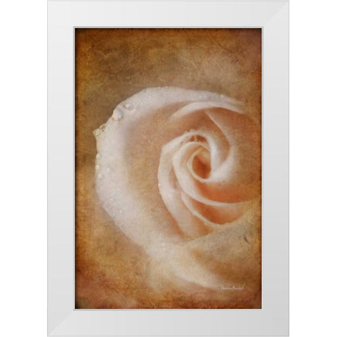 Essence of Rose White Modern Wood Framed Art Print by Murdock, Ramona