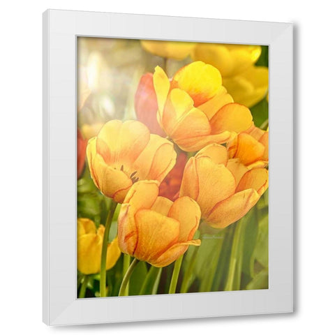 Sunshine Tulips White Modern Wood Framed Art Print by Murdock, Ramona