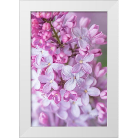 Spring Lilacs III White Modern Wood Framed Art Print by Murdock, Ramona