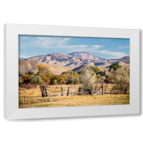 Old Fence White Modern Wood Framed Art Print by Murdock, Ramona