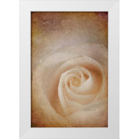 Faded Rose White Modern Wood Framed Art Print by Murdock, Ramona