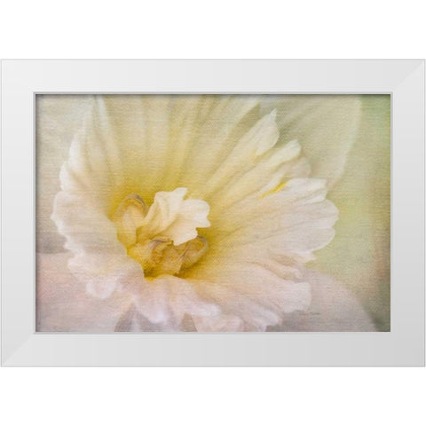 Daffodil Heart White Modern Wood Framed Art Print by Murdock, Ramona