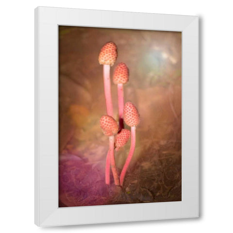 Mushroom Bouquet White Modern Wood Framed Art Print by Murdock, Ramona