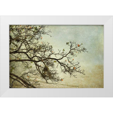Branches White Modern Wood Framed Art Print by Murdock, Ramona