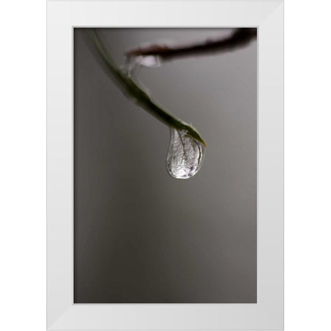 Frozen Dew Drop White Modern Wood Framed Art Print by Murdock, Ramona