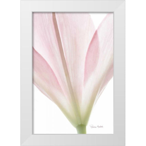 Transparent Lily I White Modern Wood Framed Art Print by Murdock, Ramona