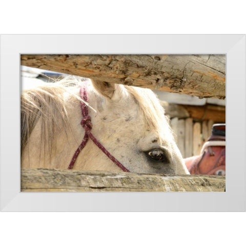 Corralled White Modern Wood Framed Art Print by Murdock, Ramona